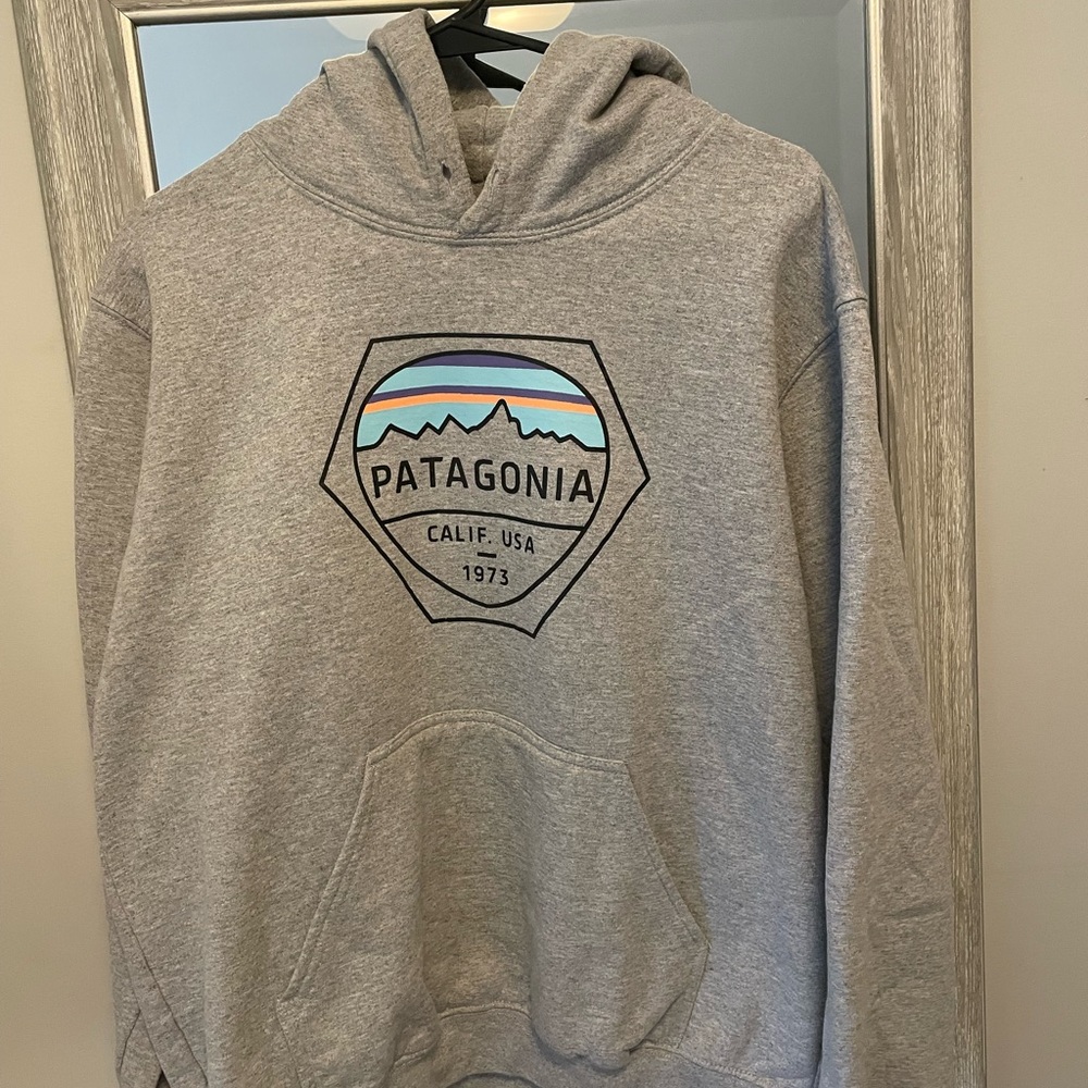 Patagonia Gray Sweatshirt